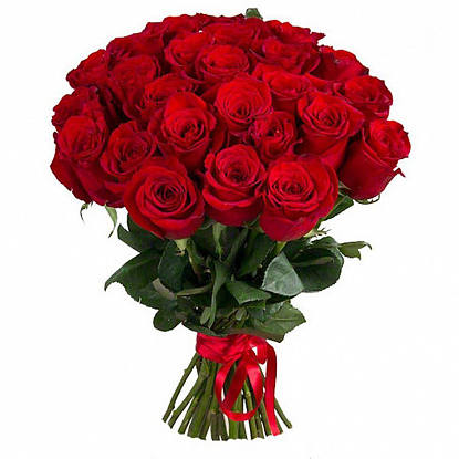 Роза красная (Эквадор) 90см