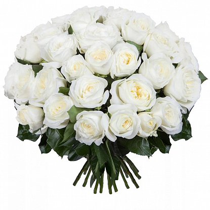 Роза белая (Эквадор) 60см