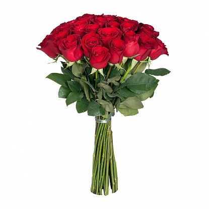 Роза красная (Эквадор) 60см
