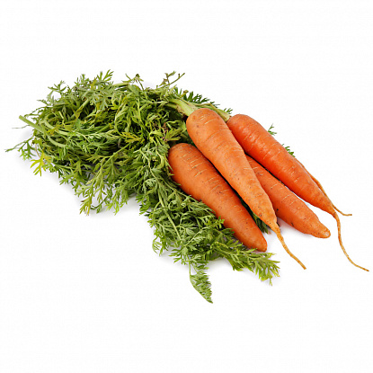 Морковь молодой с ботвой 1 пучок 300гр