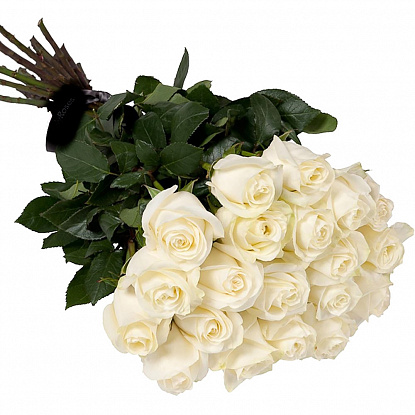 Роза белая (Эквадор) 80см